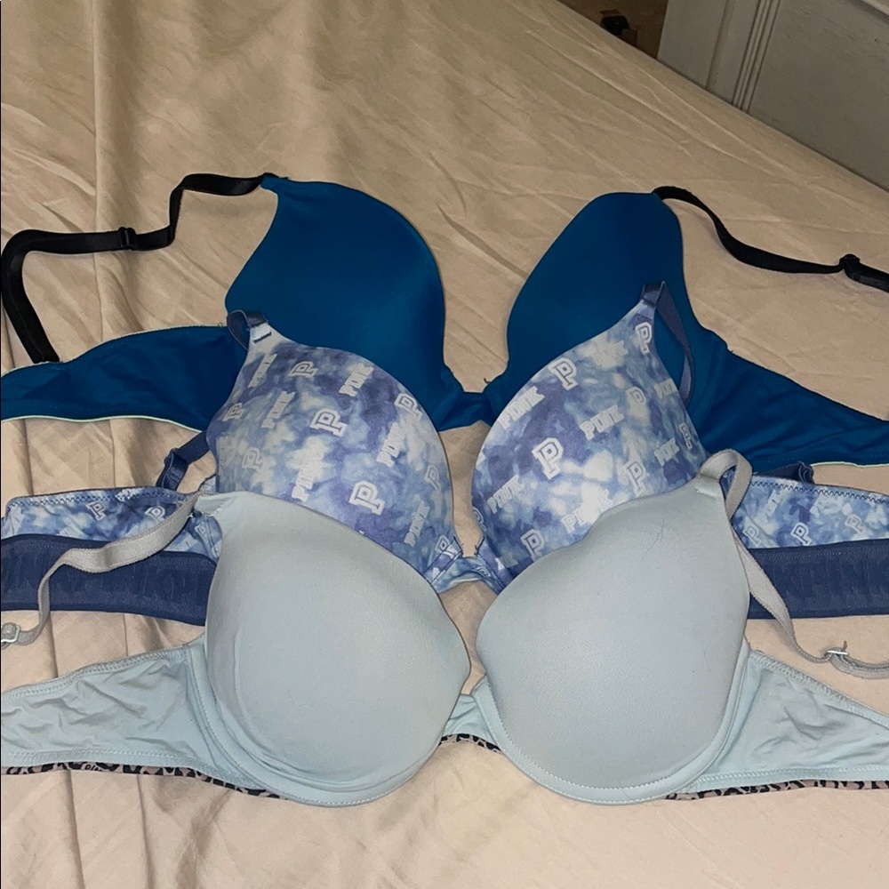 Stylish Blue and Light Blue Women's Bras
